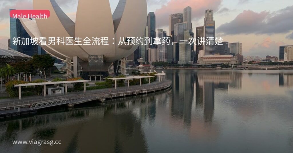 新加坡看男科医生全流程:从预约到拿药,一次讲清楚 8 tmpsfa c vo